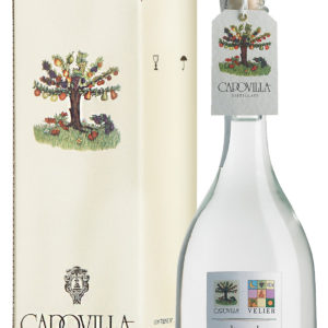 Grappa Capovilla | Pesche di Vigna A Pasta Rossa (50 cl)